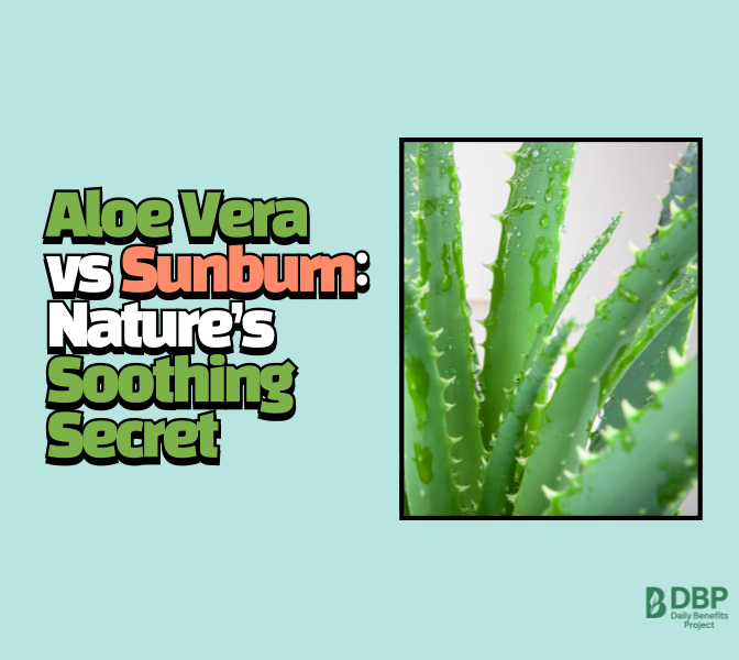 Graphic of aloe vera and text highlighting its benefits for sunburn