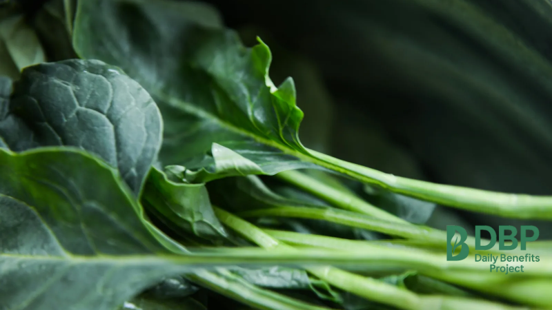 Spinach leaves rich in immune boosting vitamins Fresh spinach leaves packed with vitamins and antioxidants